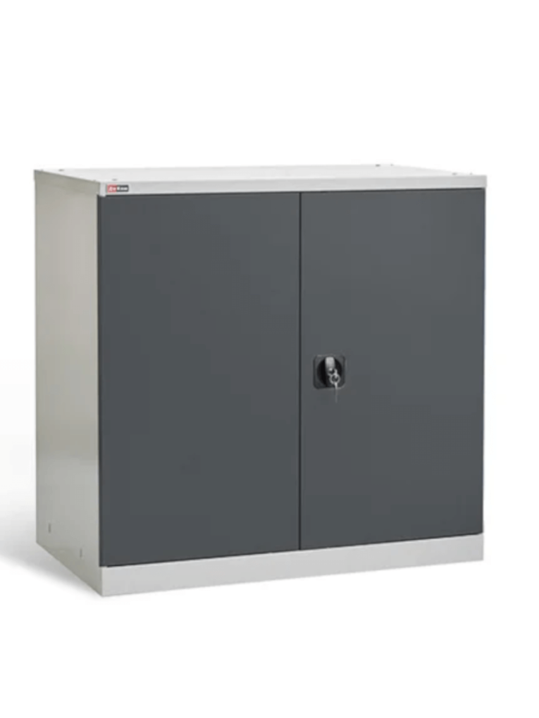 Шкаф инструментальный ДиКом ВЛ-051-02 купить в Белгороде Шкаф инструментальный ДиКом ВЛ-051-02 купить в Белгороде